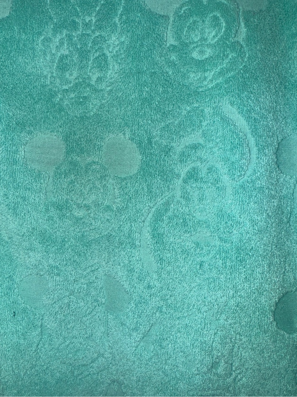 Disney Turquoise Two-Piece Terry Cloth Lounge Set - Picture 3 of 3
